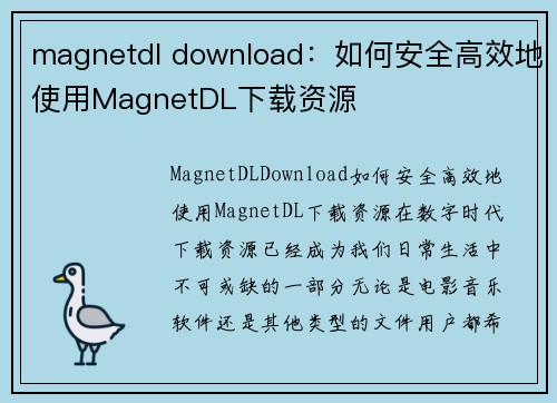 magnetdl download：如何安全高效地使用MagnetDL下载资源